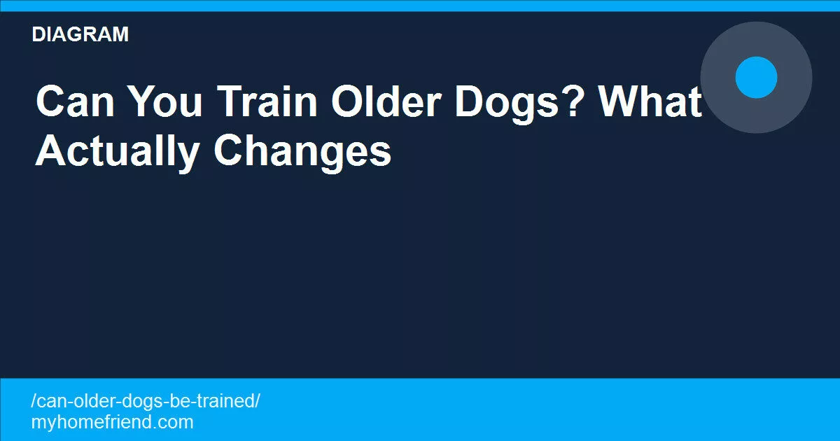 Can You Train Older Dogs? What Actually Changes