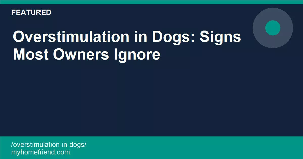 Overstimulation in dogs: signs and how to help a dog settle