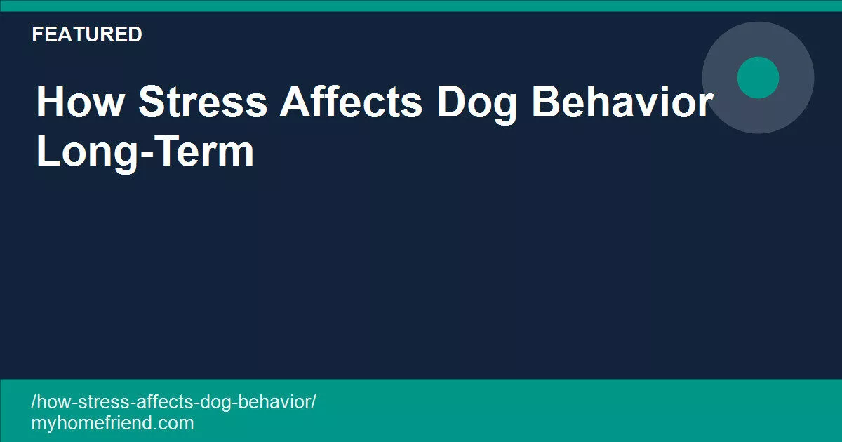 How stress affects dog behavior long-term and what helps