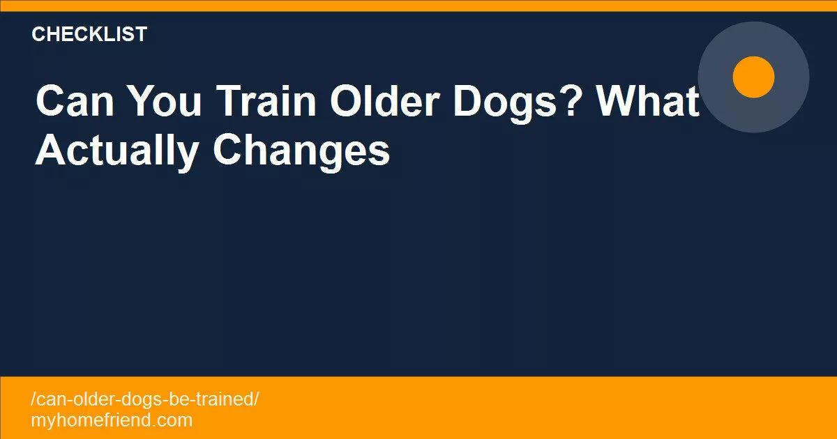 Can You Train Older Dogs? What Actually Changes